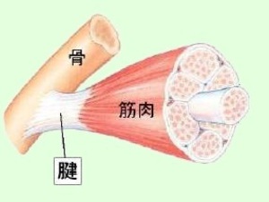 kinken.jpgのサムネイル画像